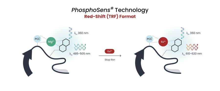 img-trf-1